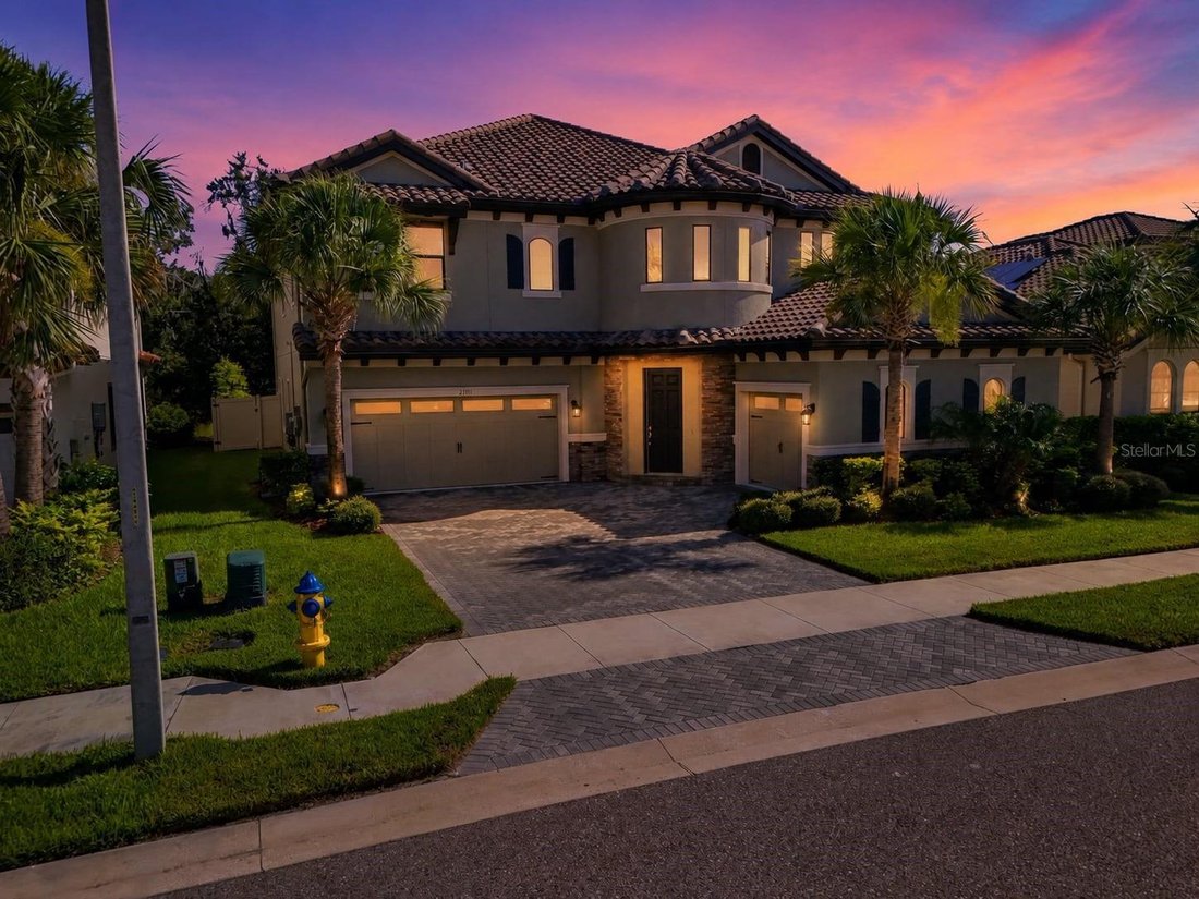 House in Land O' Lakes, Florida, United States 3 - 18499616
