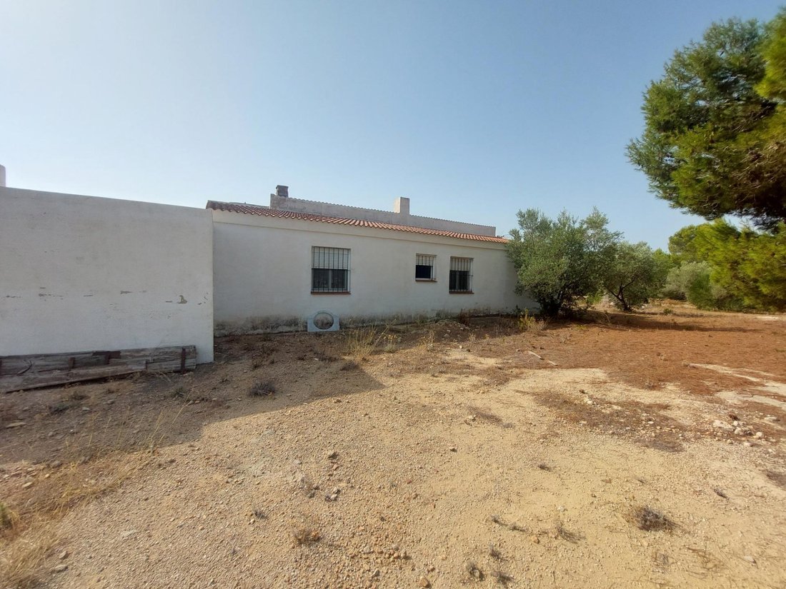 Country House in l'Ametlla de Mar, Catalonia, Spain 3 - 18503774