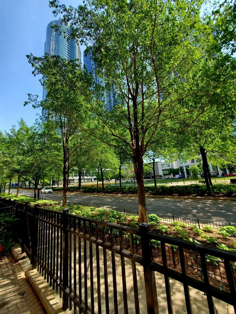 Condo in Chicago, Illinois, United States 4 - 18502844