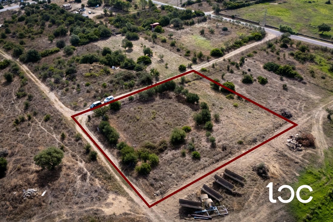 Terreno a Budoni, Sardegna, Italia 4 - 18499053