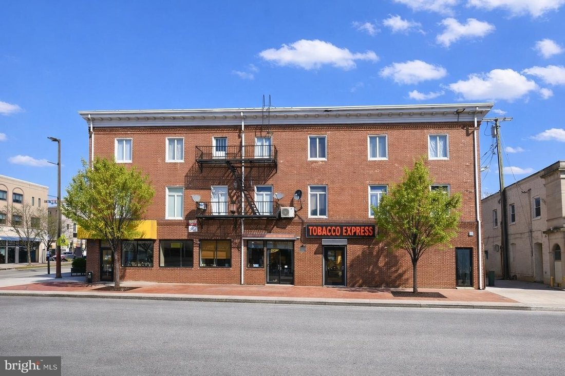 House in Baltimore, Maryland, United States 4 - 18507028