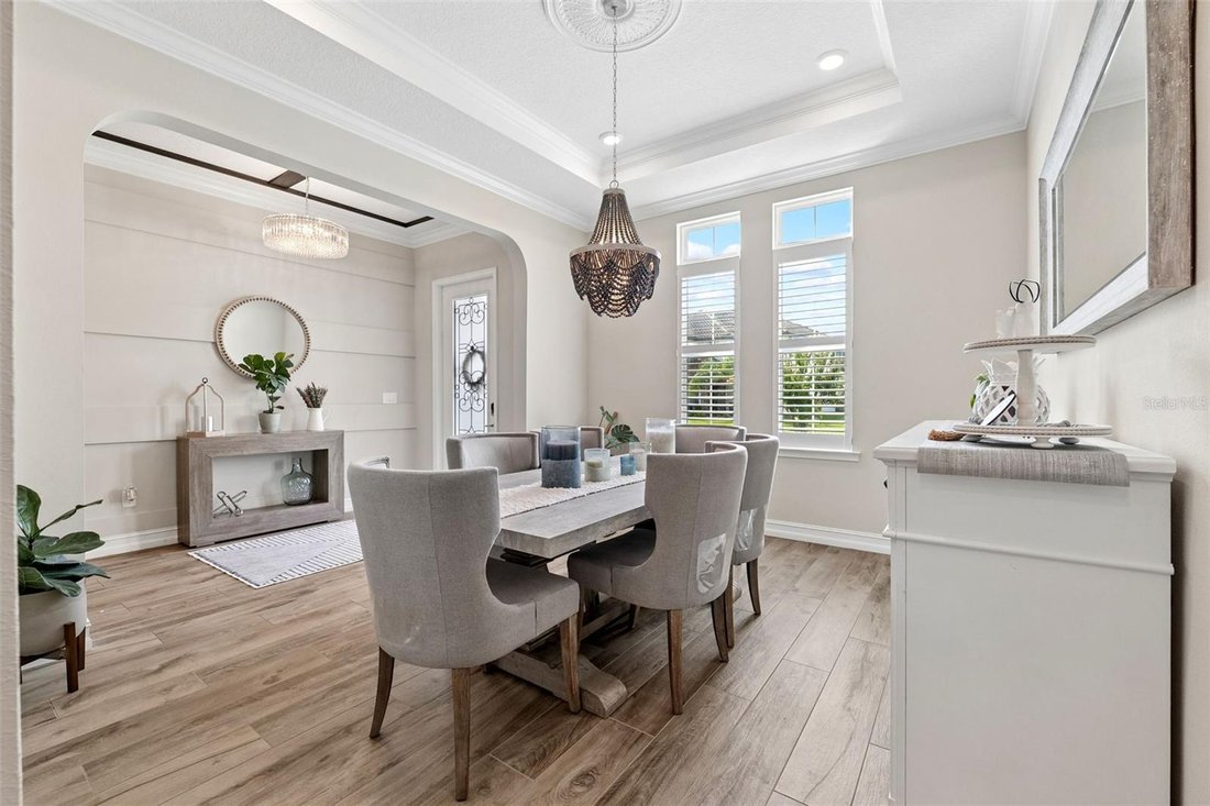 House in Odessa, Florida, United States 5 - 18500536