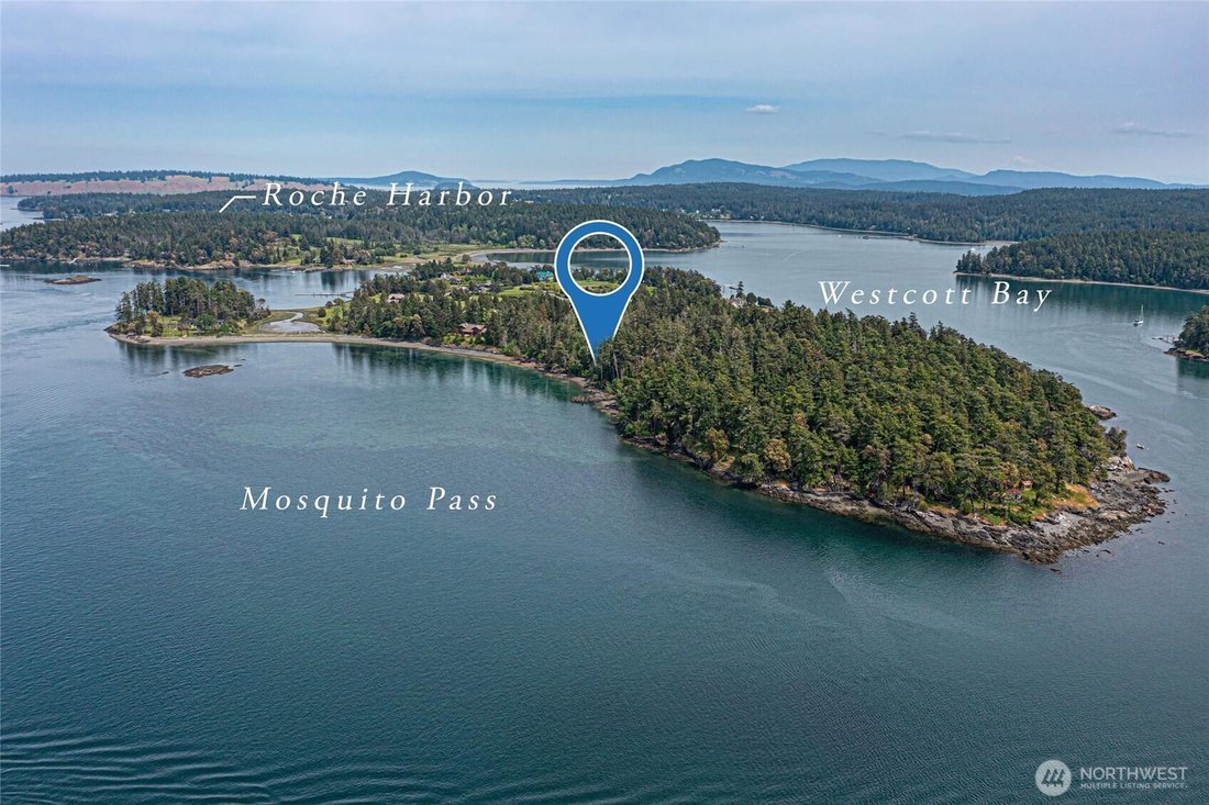 House in Friday Harbor, Washington, United States 4 - 17986941