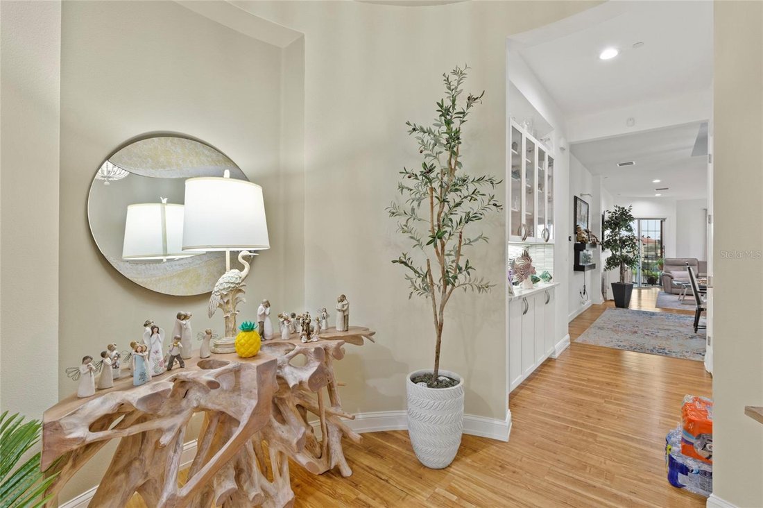 Condo in St. Petersburg, Florida, United States 4 - 18499602