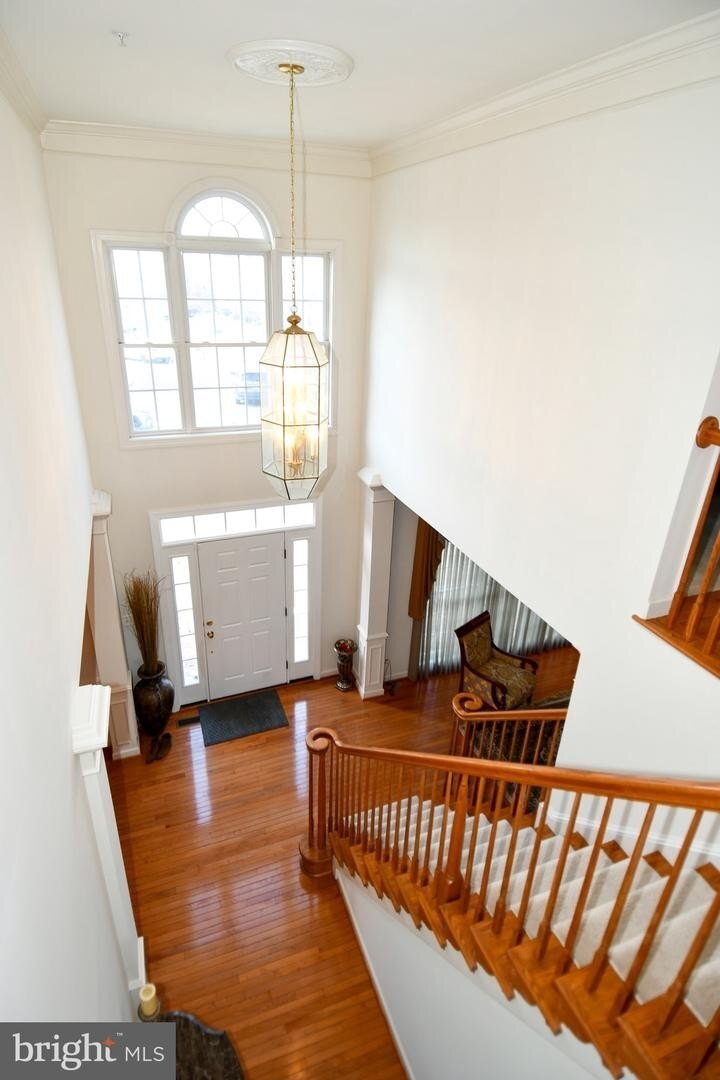 House in Silver Spring, Maryland, United States 3 - 18505728