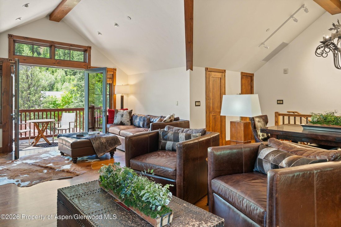 Condo in Aspen, Colorado, United States 3 - 18501489