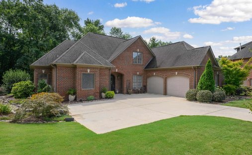 House in Chelsea, Alabama, United States 1