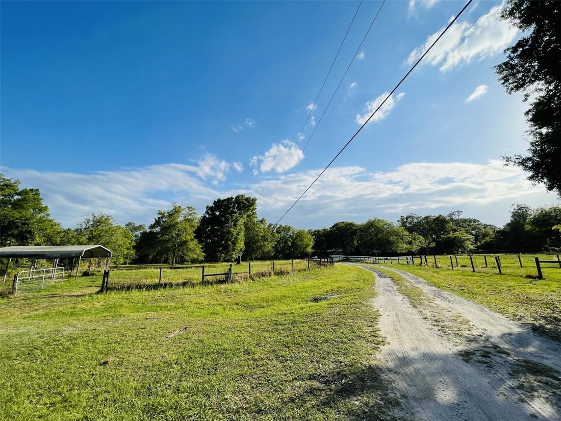 Apartment in Wesley Chapel, Florida, United States 5 - 18499614