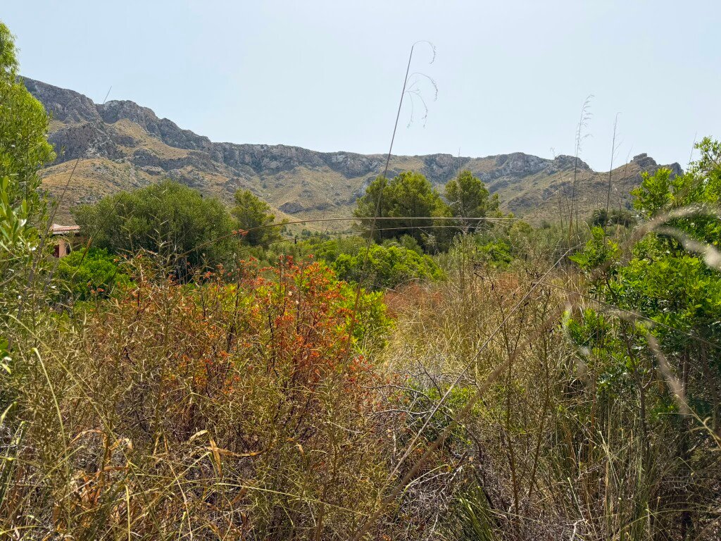 Terrain à Artà, Îles Baléares, Espagne 4 - 18504017