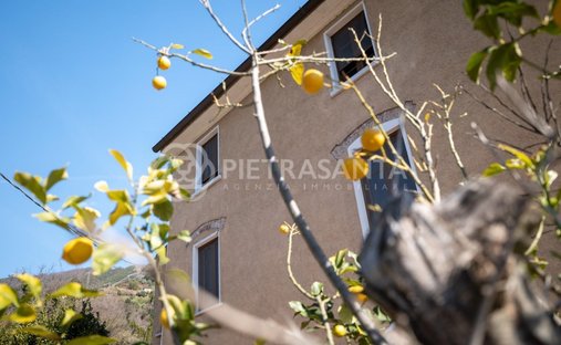 Country House in Pietrasanta, Tuscany, Italy 1
