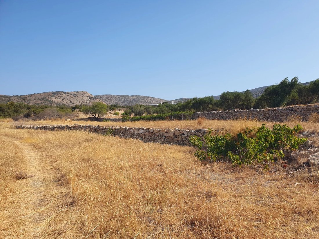 Land in Paros, Aegean, Greece 5 - 18501184