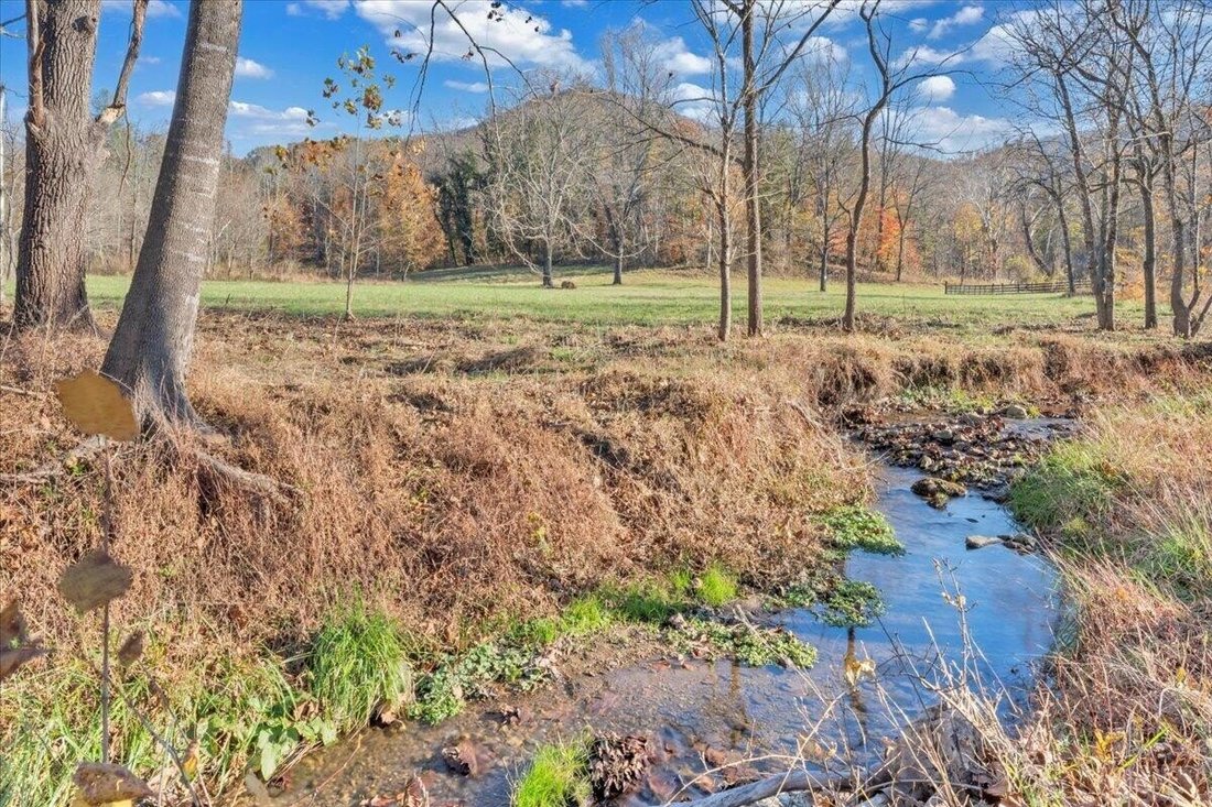 House in Cave Spring, Virginia, United States 5 - 18507439