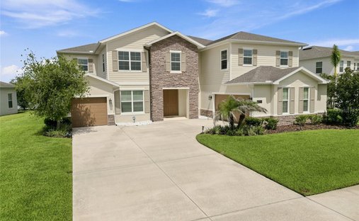 House in Wesley Chapel, Florida, United States 1
