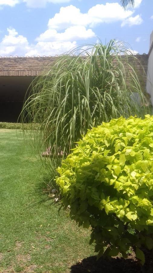 House in El Molino Residencial, Guanajuato, Mexico 2 - 18500383