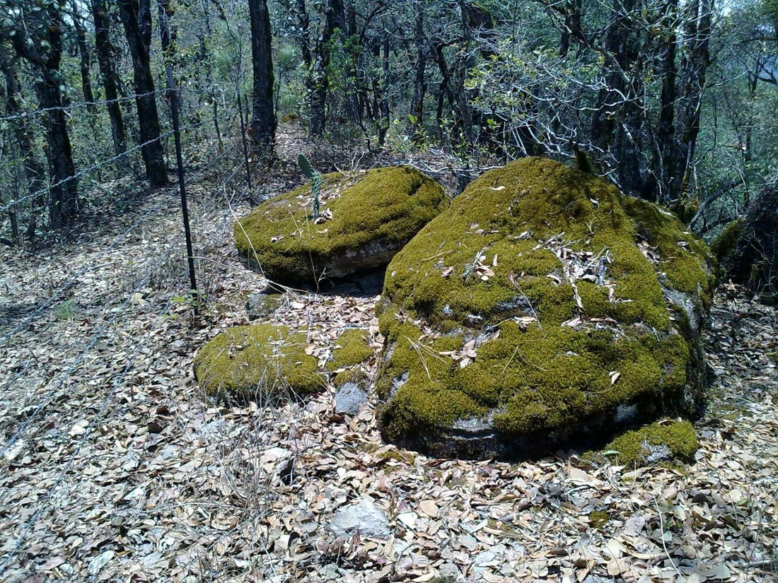 Land in Pozos, San Luis Potosi, Mexico 3 - 18500595