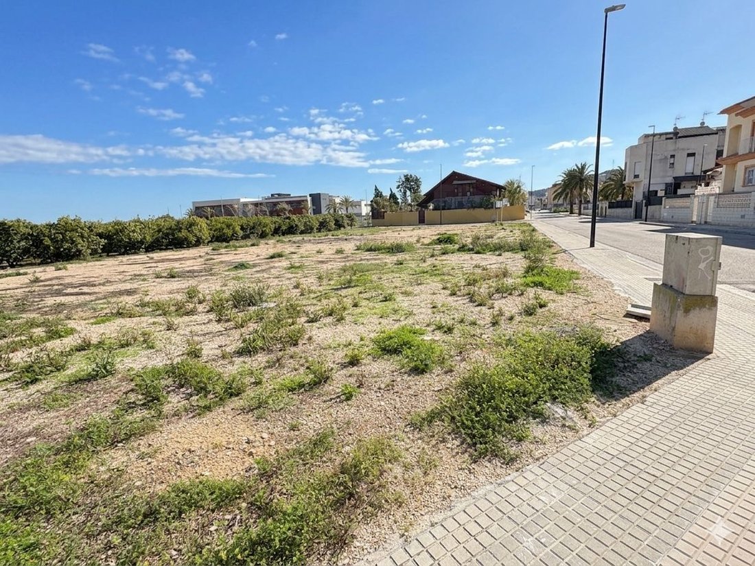 Land in Palmera, Valencian Community, Spain 5 - 17529953