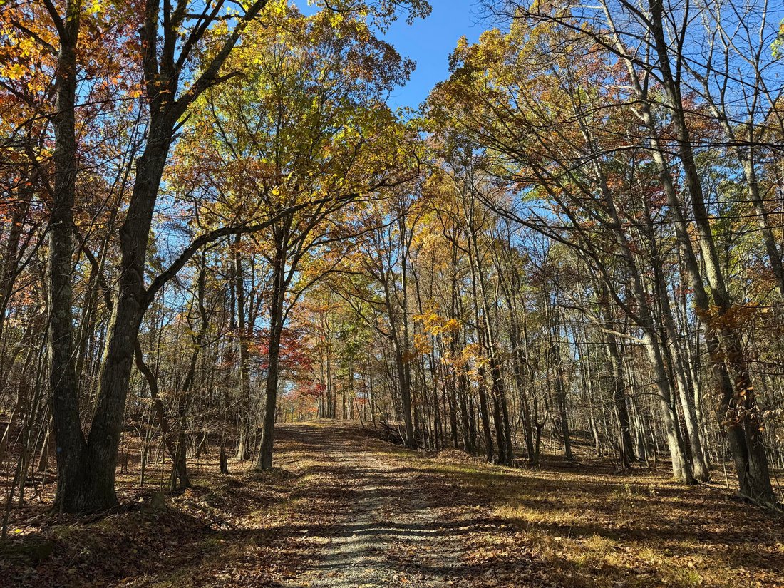 Farm Ranch in Clearfield, Pennsylvania, United States 3 - 18503332