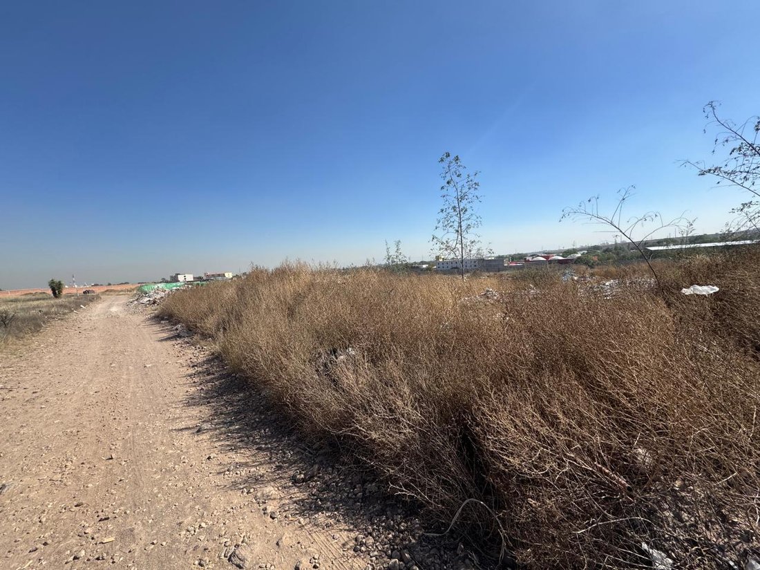 Land in Mexquitic de Carmona, San Luis Potosi, Mexico 1 - 18500658