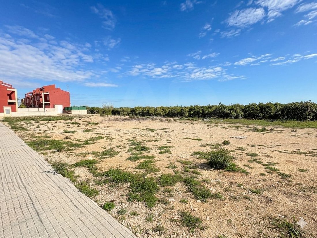 Land in Palmera, Valencian Community, Spain 1 - 17529953