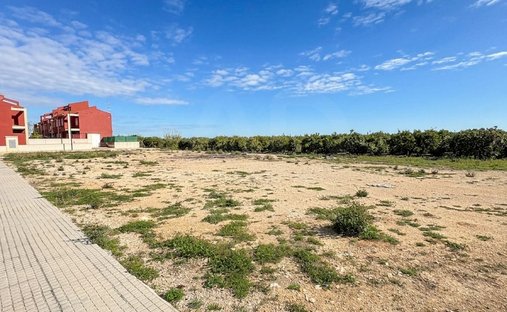 Land in Palmera, Valencian Community, Spain 1