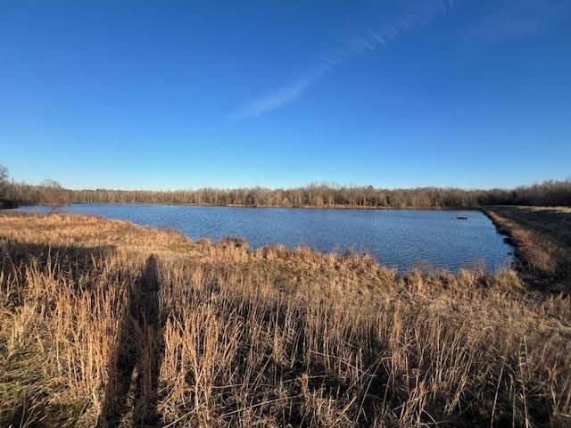 Land in Collierville, Tennessee, United States 1 - 18504833