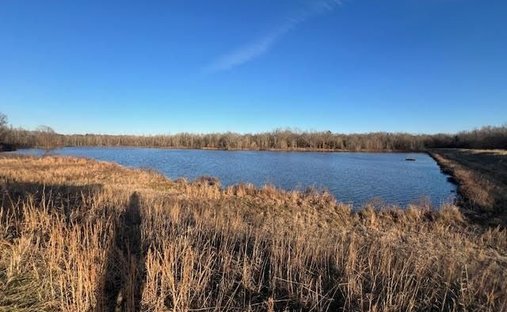 Terrain à Collierville, Tennessee, États-Unis 1