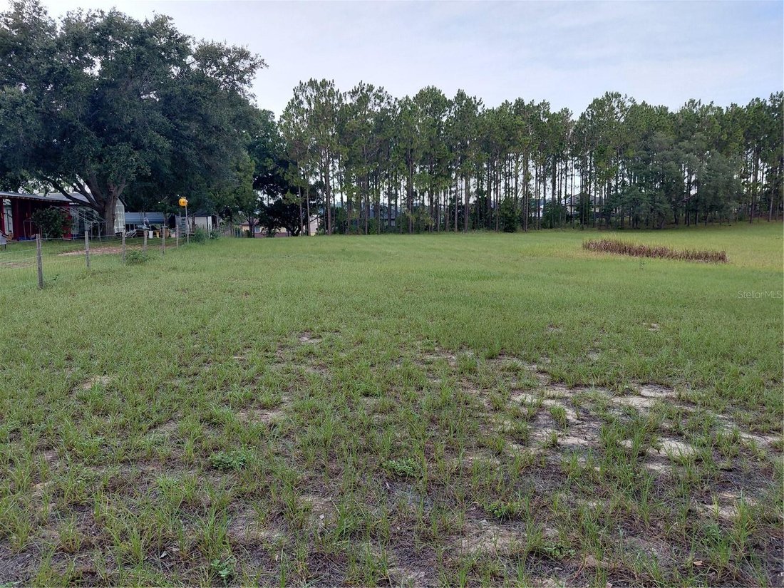 Clermont, Florida, United States 5 - 18502538