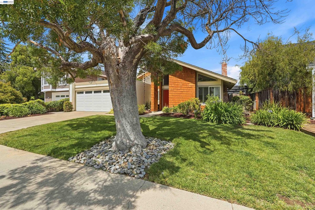 House in Cupertino, California, United States 3 - 18502177