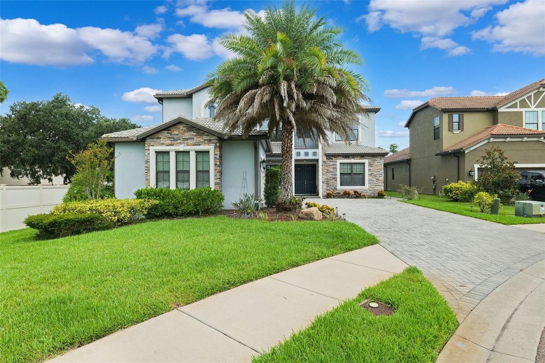 House in Tampa, Florida, United States 4 - 18502565