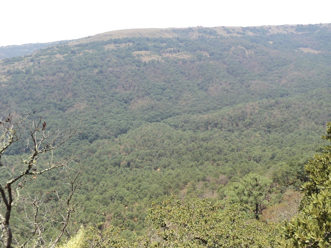 Land in Pozos, San Luis Potosi, Mexico 1 - 18500595