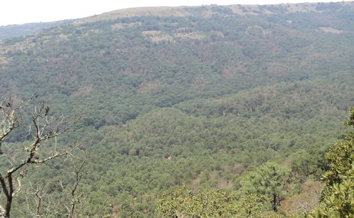 Land in Pozos, San Luis Potosí, Mexiko 1