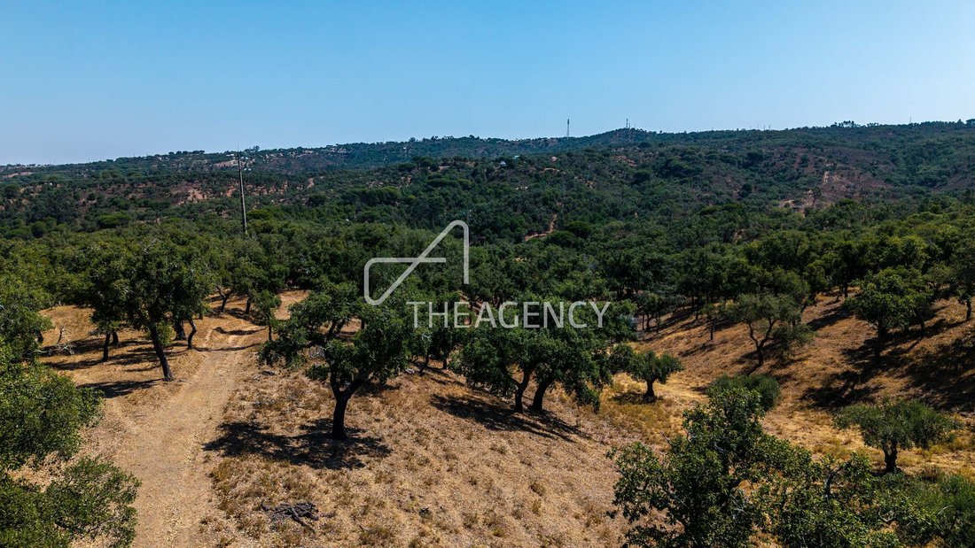 Land in Grandola e Santa Margarida da Serra, Setubal, Portugal 4 - 18504144