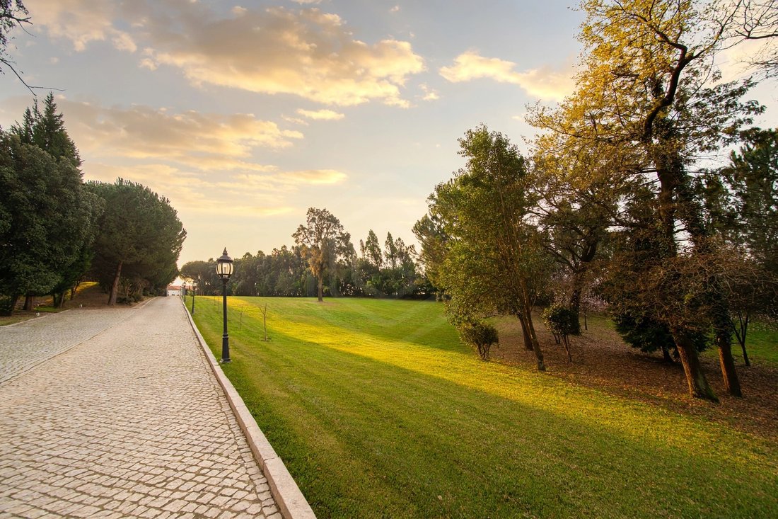 Finca in Oliveira de Azemeis, Santiago de Riba-Ul, Ul, Macinhata da Seixa e Madail, Aveiro, Portugal 2 - 18500897