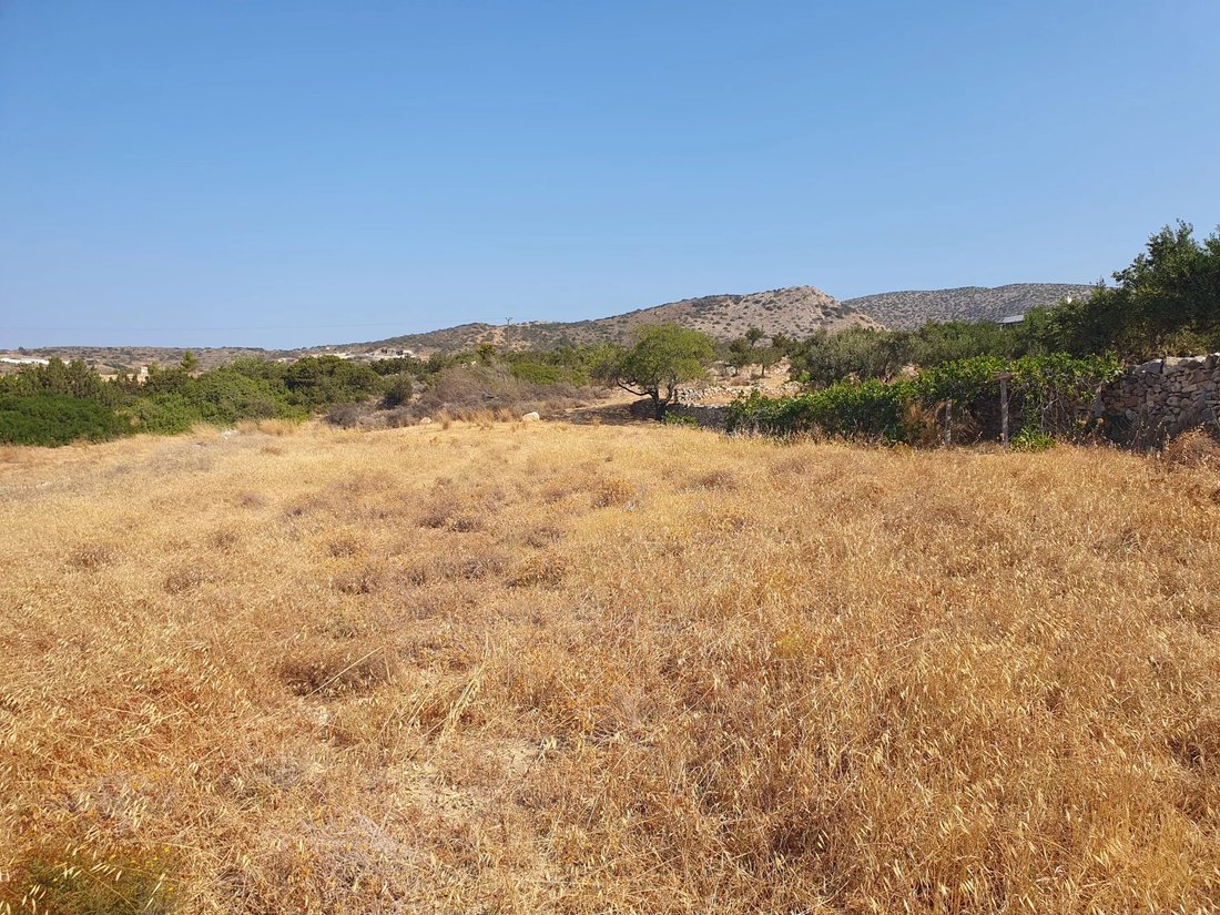Land in Paros, Aegean, Greece 4 - 18501184