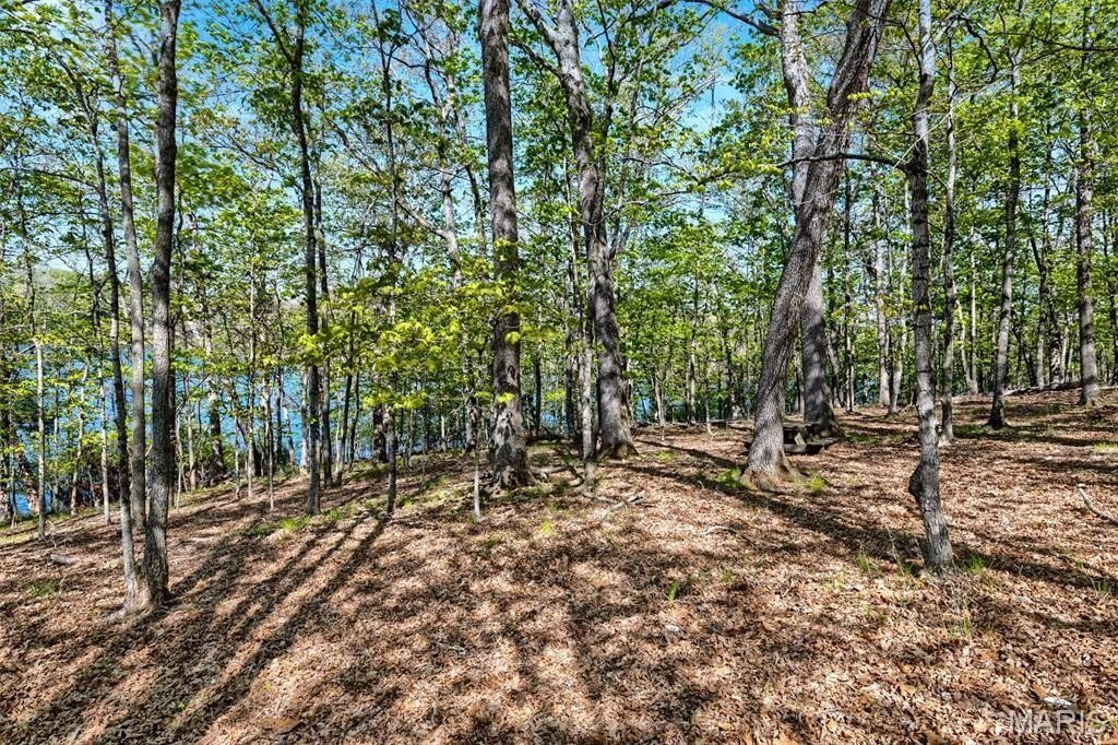 Land in Wright City, Missouri, United States 5 - 18504814