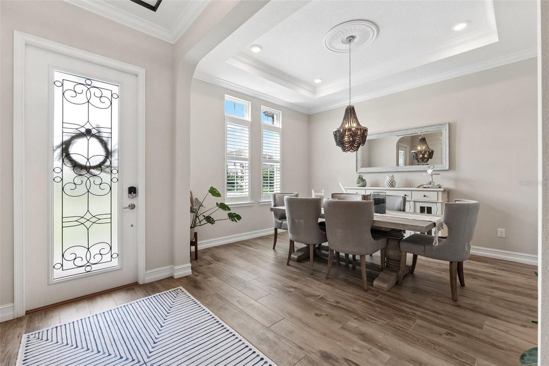 House in Odessa, Florida, United States 4 - 18500536
