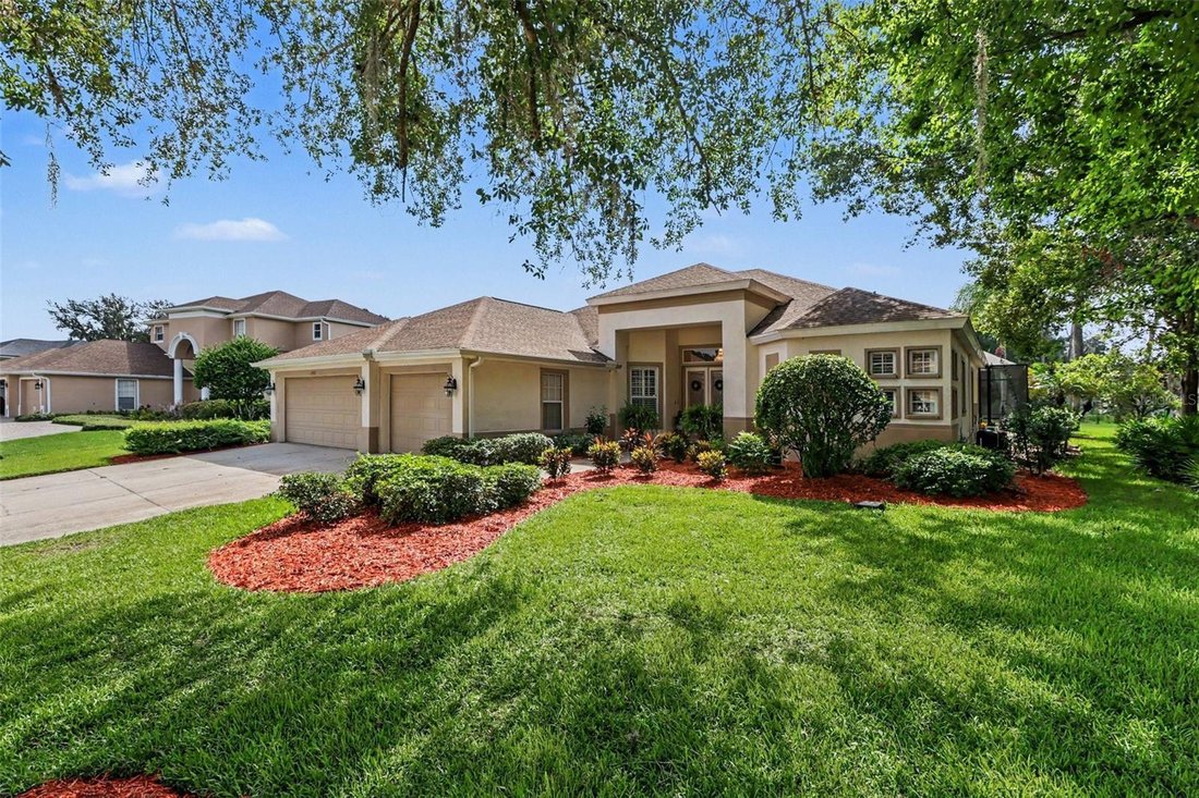 House in Plant City, Florida, United States 1 - 18499638