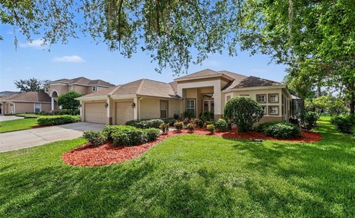 House in Plant City, Florida, United States 1