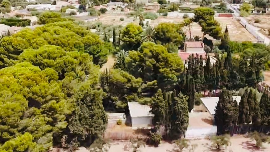 Farm Ranch in Alicante, Valencian Community, Spain 5 - 18504251