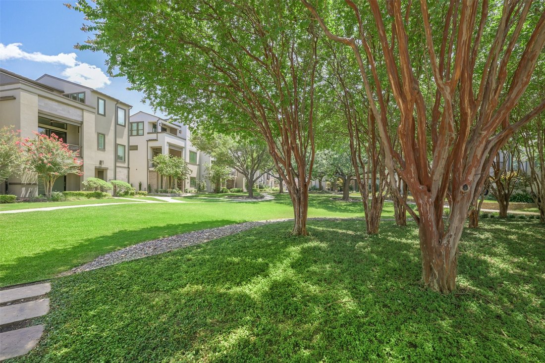 Haus in Plano, Texas, Vereinigte Staaten 3 - 18503363