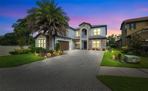House in Tampa, Florida, United States 1