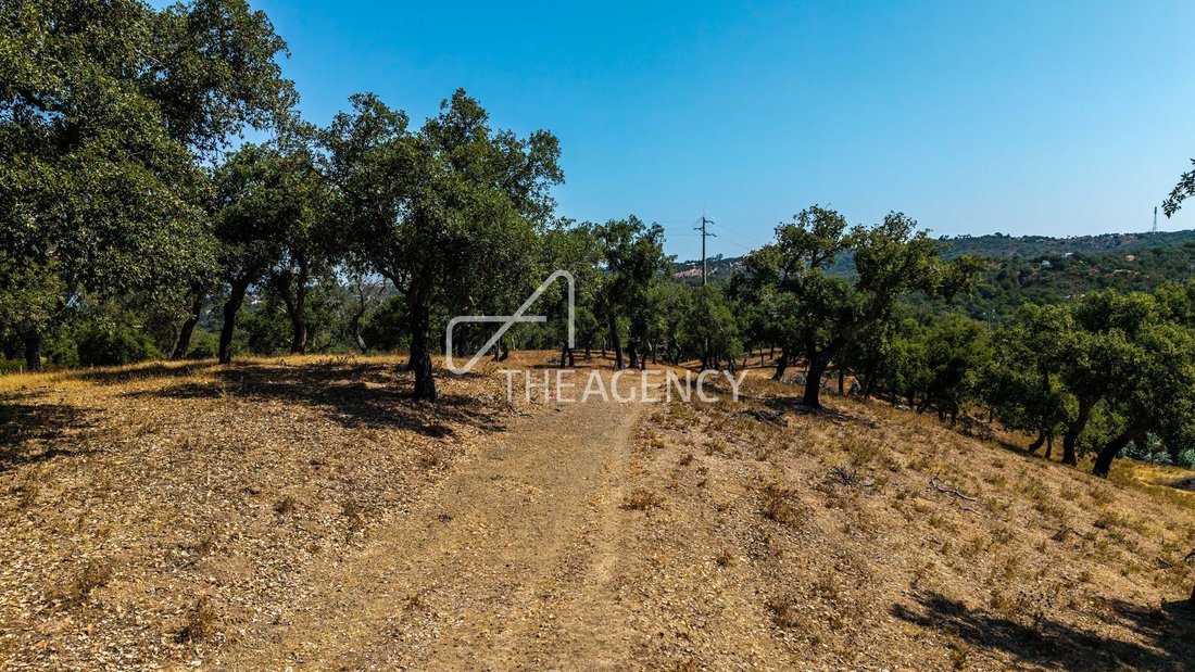 Land in Grandola e Santa Margarida da Serra, Setubal, Portugal 3 - 18504144