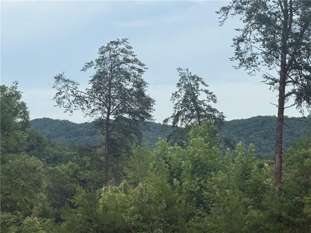 House in Morganton, Georgia, United States 3 - 18499516