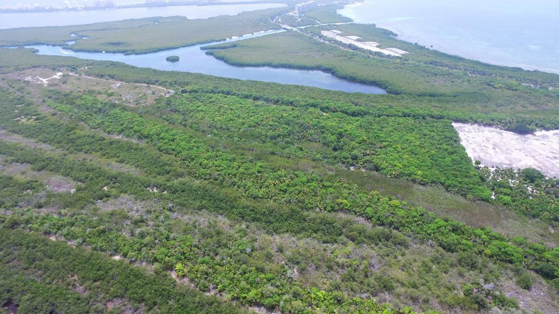 Land in Cancún, Quintana Roo, Mexico 3 - 18501379
