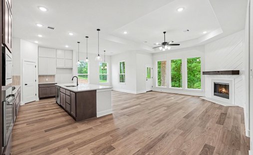 House in Conroe, Texas, United States 1