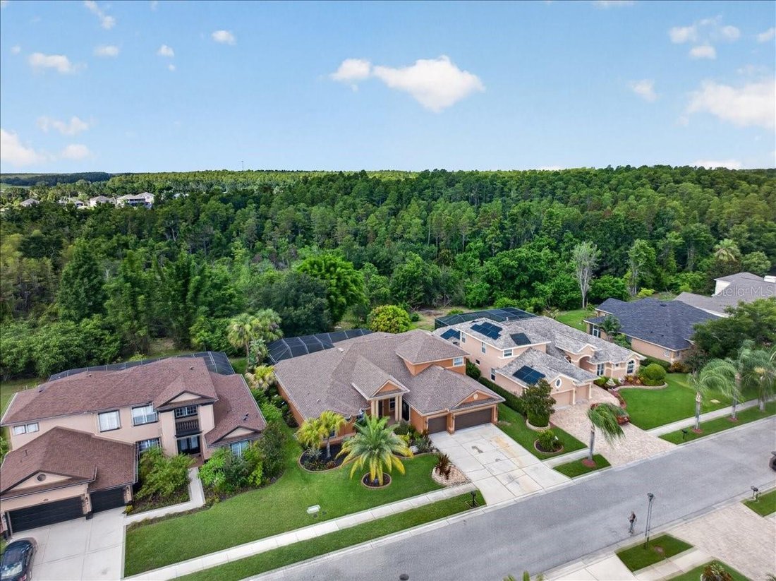 House in Odessa, Florida, United States 3 - 18499590