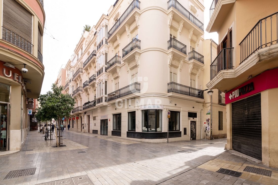 Apartment in Centro, Malaga, Spain 1 - 18499893