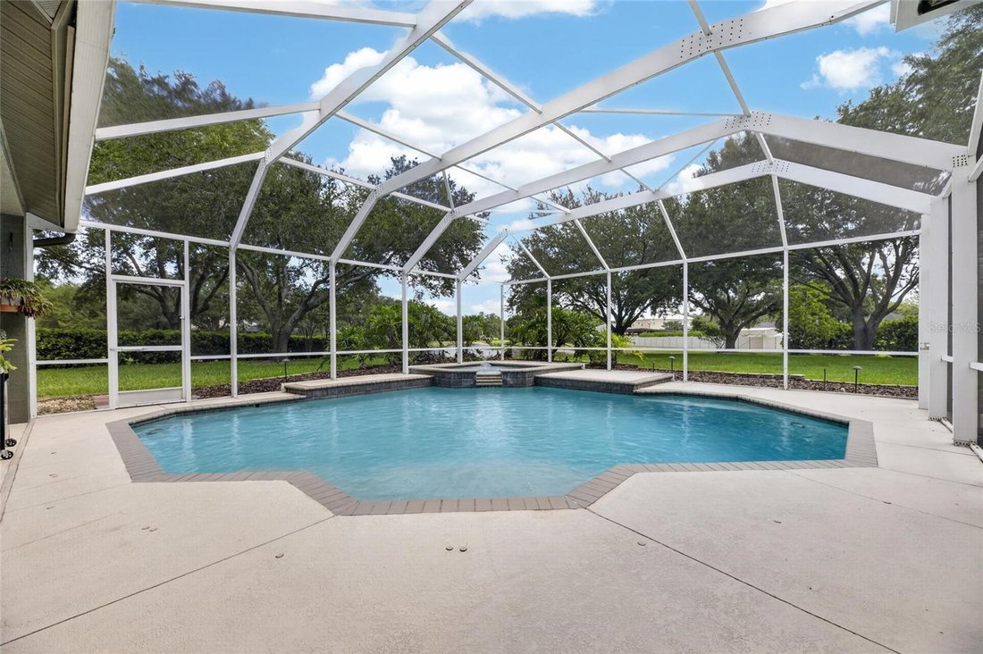 House in Odessa, Florida, United States 4 - 18499762