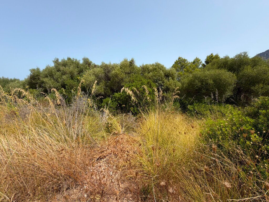 Terrain à Artà, Îles Baléares, Espagne 2 - 18504017