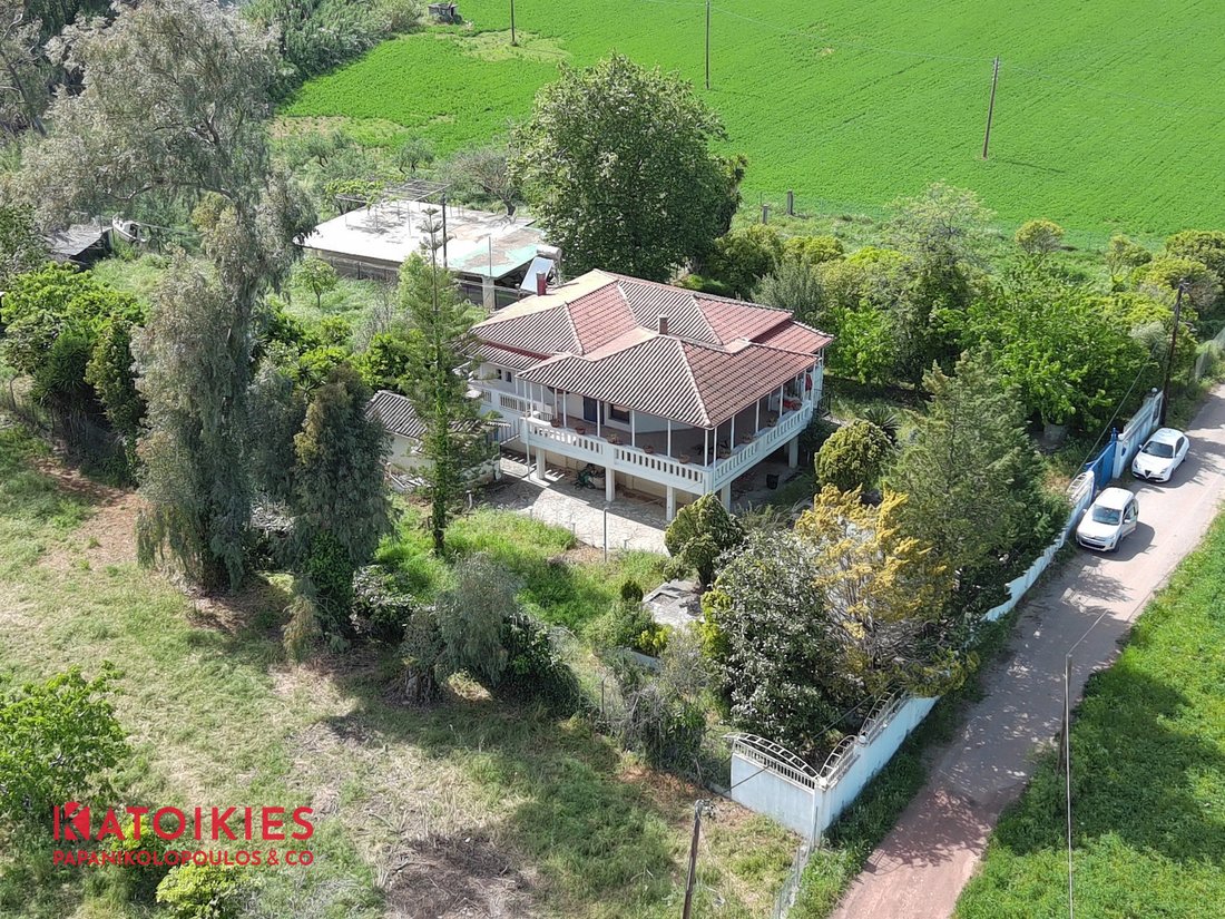 Villa in Messini, Peloponnese, Western Greece and the Ionian, Greece 3 - 14833969